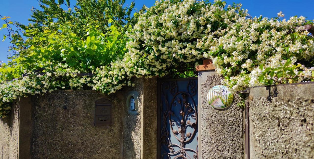La Primavera อนากาปรี ภายนอก รูปภาพ